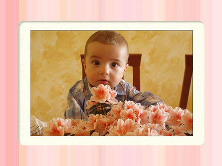 Nepotul meu - Todoran Petrut